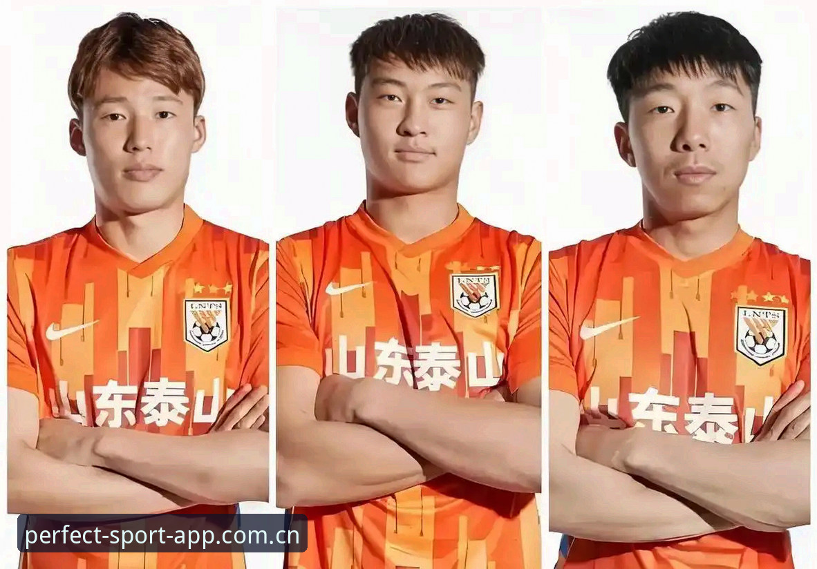 完美体育平台解读足协第三批禁足名单操作教程